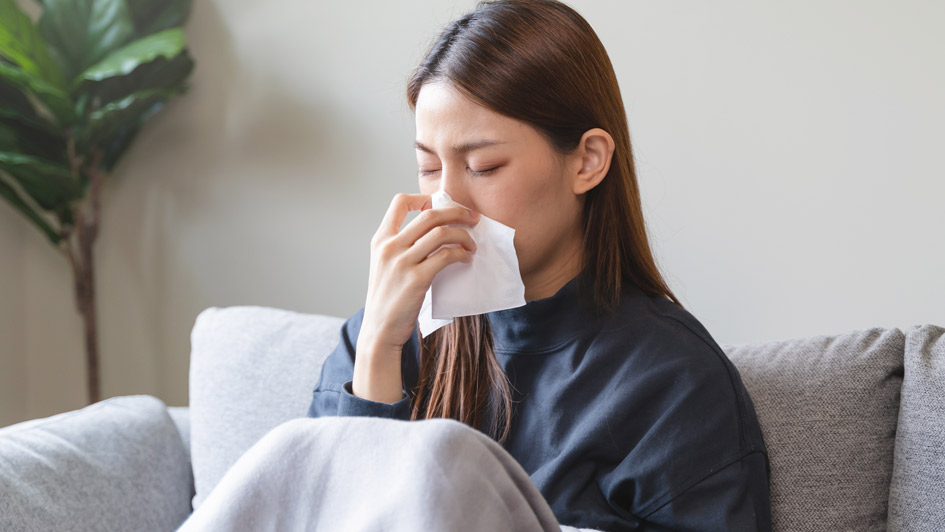 Enjoy Better Indoor Air Quality this Cold Season with These Several Tips